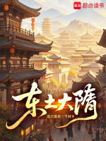 东土大隋封面