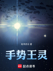 手势王灵在线阅读