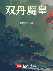 双丹魔皇在线阅读