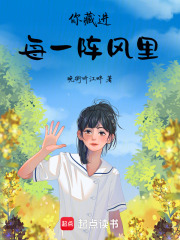 你藏进每一阵风里在线阅读