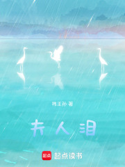夫人泪在线阅读