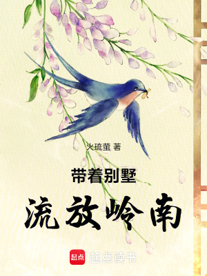 带着别墅，流放岭南封面