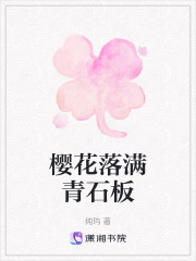 樱花落满青石板在线阅读