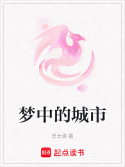 梦中的城市在线阅读