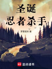 忍者杀手！圣诞节炎上