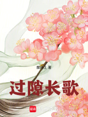 过隙长歌在线阅读