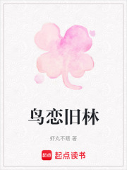 鸟恋旧林在线阅读