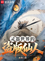 灵器世界的盗版仙人封面