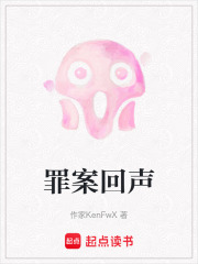 罪案回声在线阅读