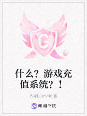 什么？游戏充值系统？！在线阅读