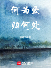 何为爱，归何处在线阅读