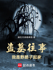 盗墓往事：我是野路子起家在线阅读