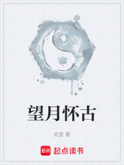望月怀古在线阅读