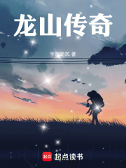 龙山传奇在线阅读