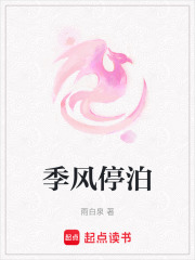 季风停泊在线阅读