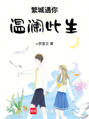 繁城遇你，温澜此生在线阅读