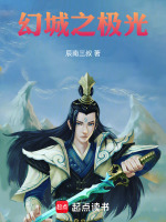 幻城之极光封面