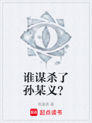 谁谋杀了孙某义？在线阅读