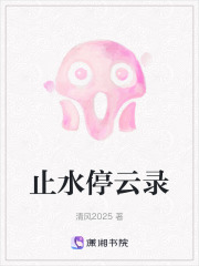 止水停云录在线阅读