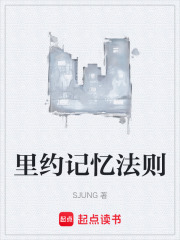 里约记忆法则在线阅读
