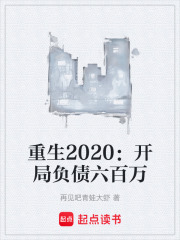 重生2020：开局负债六百万在线阅读