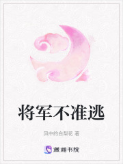 将军不准