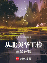 从北美华工捡词条开始在线阅读