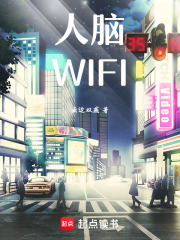 人脑WIFI在线阅读