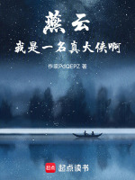 燕云，我是一名真大侠啊封面