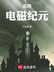 巫师：电磁纪元在线阅读