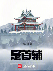 是，首辅！在线阅读