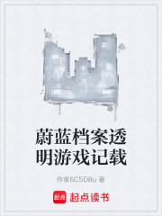 蔚蓝档案透明游戏记载在线阅读