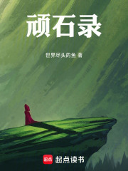 顽石录