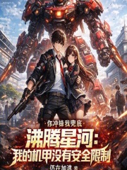 沸腾星河：我的机甲没有安全限制在线阅读