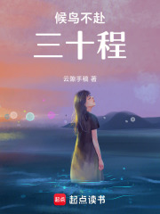 候鸟不赴三十程在线阅读
