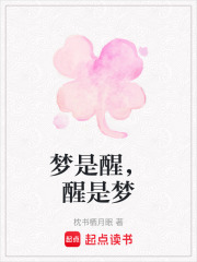 梦是醒，醒是梦在线阅读