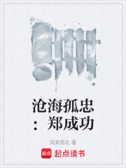 沧海孤忠：郑成功在线阅读