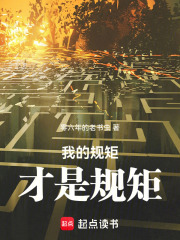 我的规矩才是规矩在线阅读