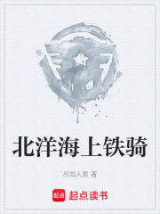 北洋海上铁骑在线阅读
