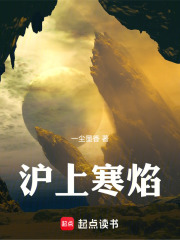 沪上寒焰在线阅读