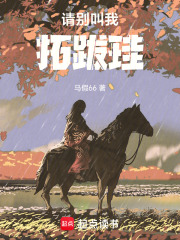 请别叫我拓跋珪