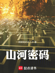 山河密码在线阅读