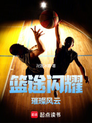 篮途闪耀，璀璨风云在线阅读