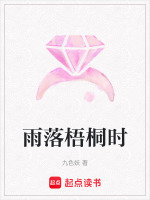 雨落梧桐时最新章节在线阅读