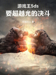 游戏王5ds：不断进化的道路