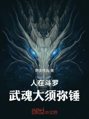 人在斗罗武魂
