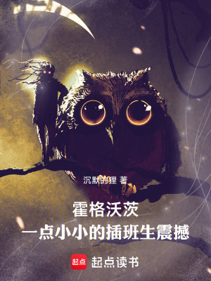 霍格沃茨：一点小小的插班生震撼封面