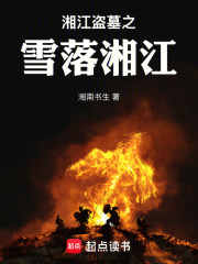 湘江盗墓之雪落湘江在线阅读