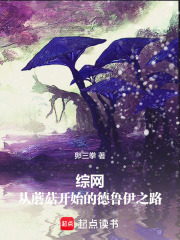 综网从蘑菇