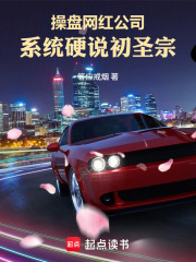 操盘网红公司，系统硬说初圣宗